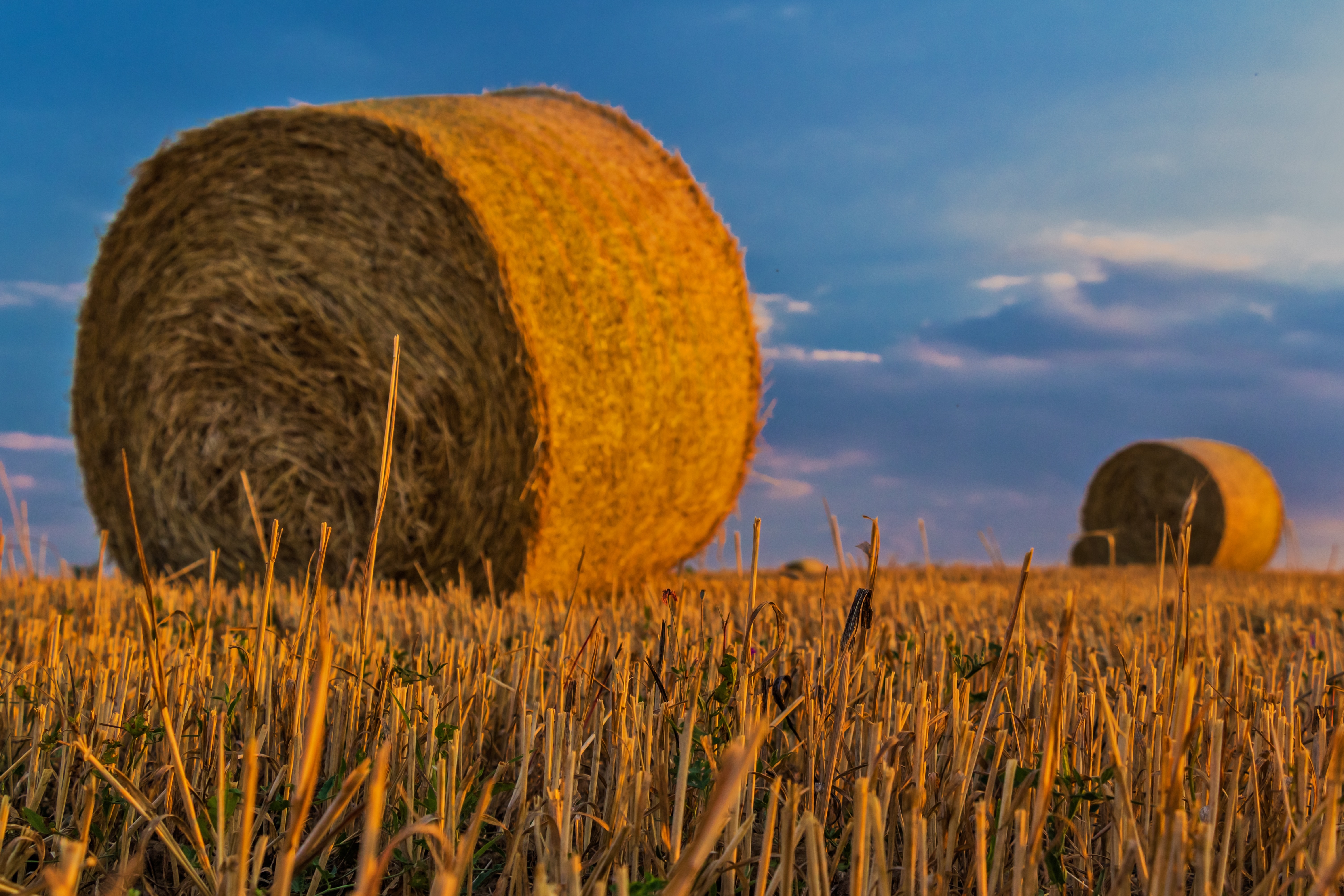 Agriculture, Straw, Harvest, Bale, bale, hay