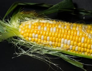 Close Up, Open Detail, Corn, corn, corn on the cob thumbnail