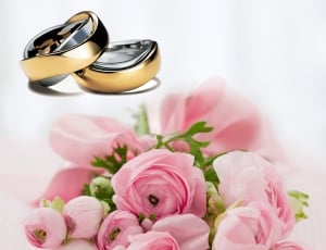 Wedding, Before, Love, Wedding Rings, flower, pink color thumbnail