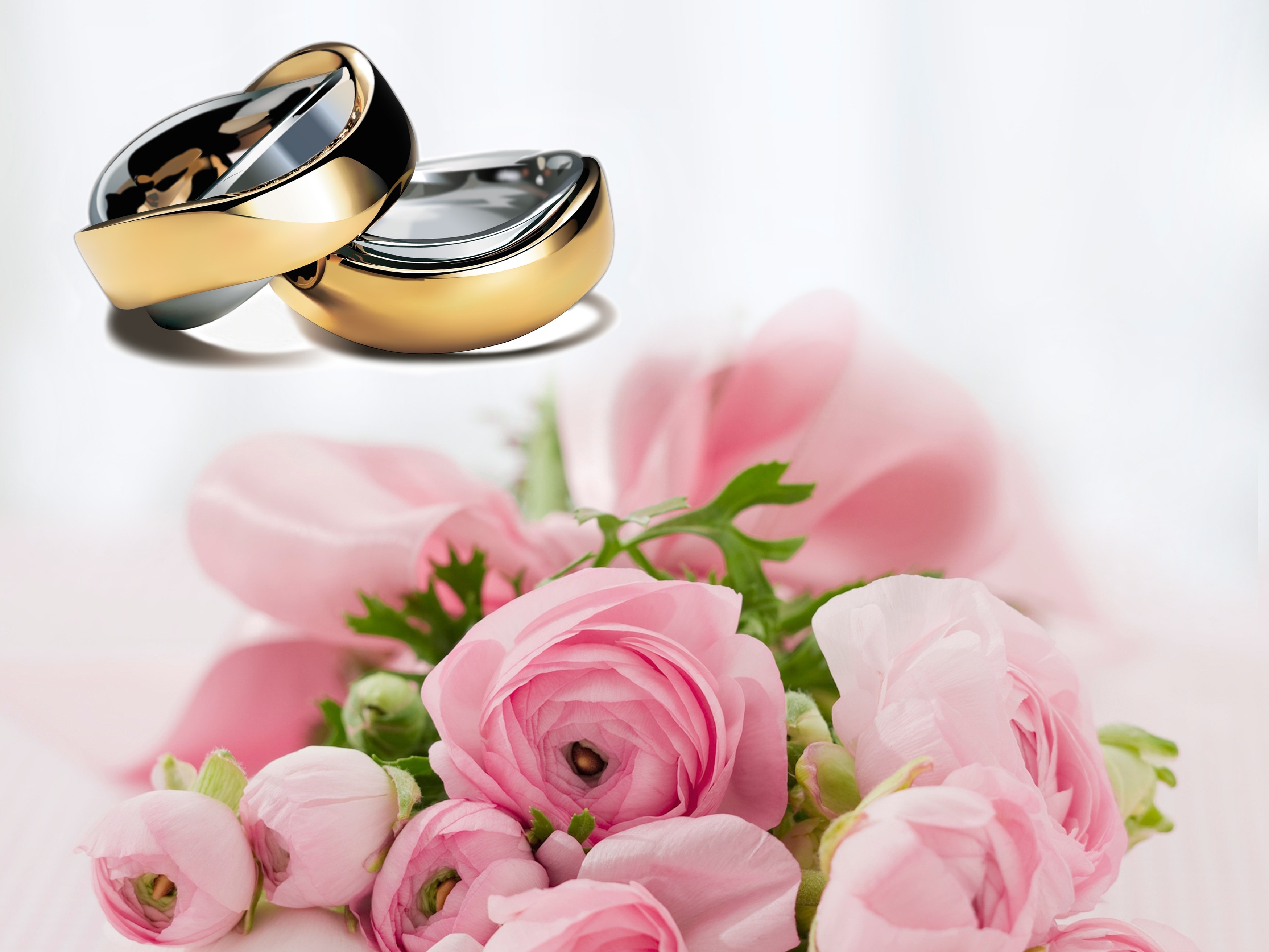 Wedding, Before, Love, Wedding Rings, flower, pink color