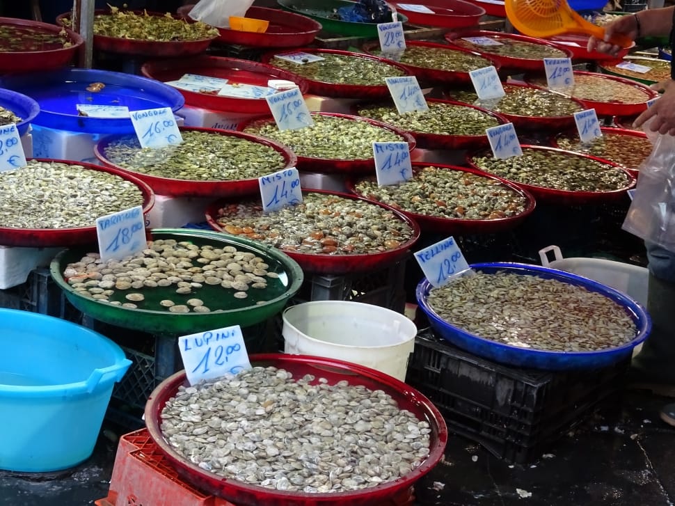 Vongole, Mussels, Market, Italy, Naples, variation, choice preview