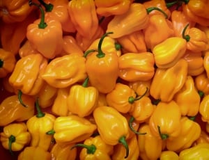 Pepper, China, Yellow Lantern Chili, food and drink, food thumbnail