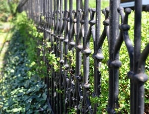black steel railings beside green grass thumbnail