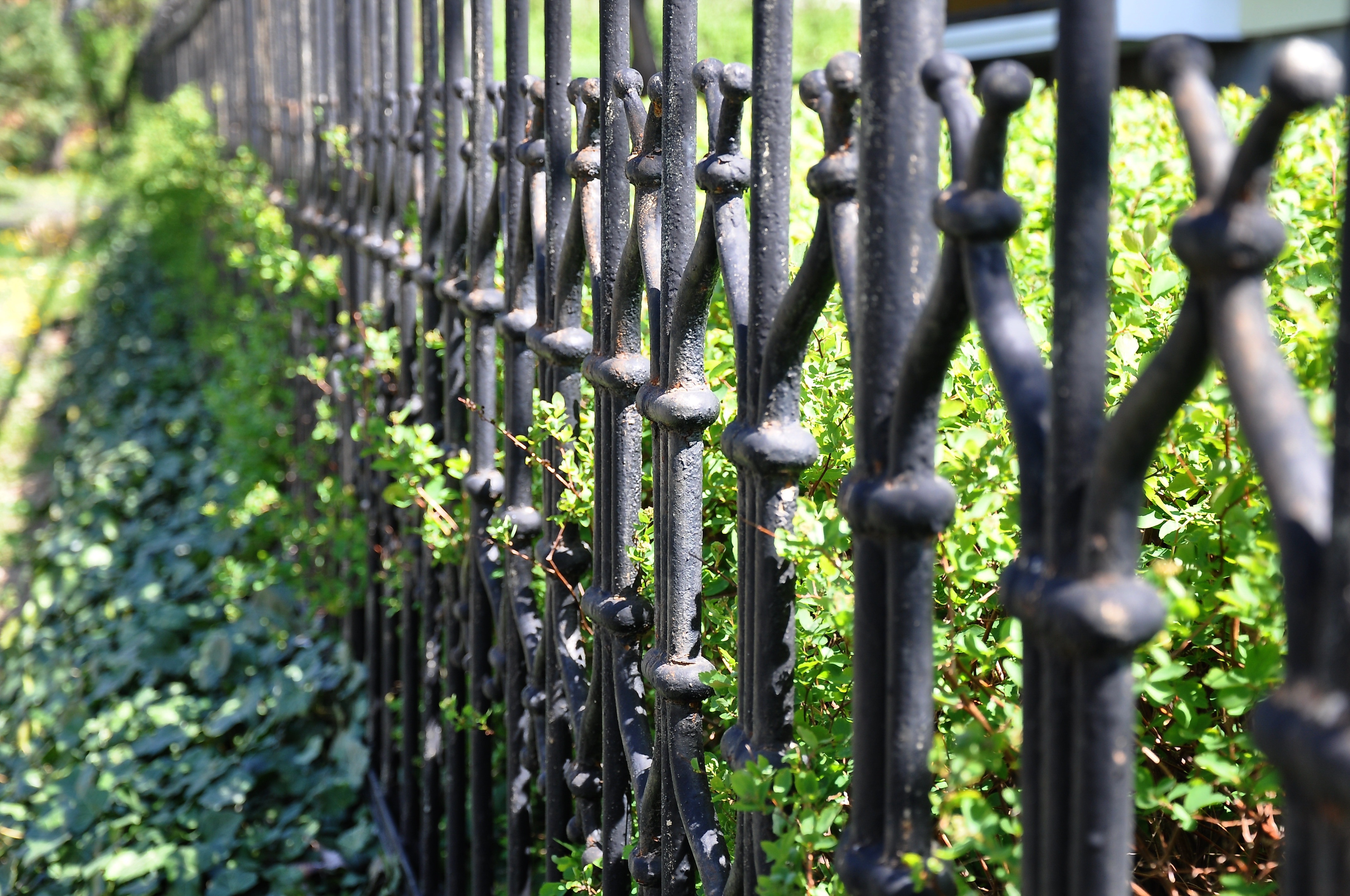 black steel railings beside green grass