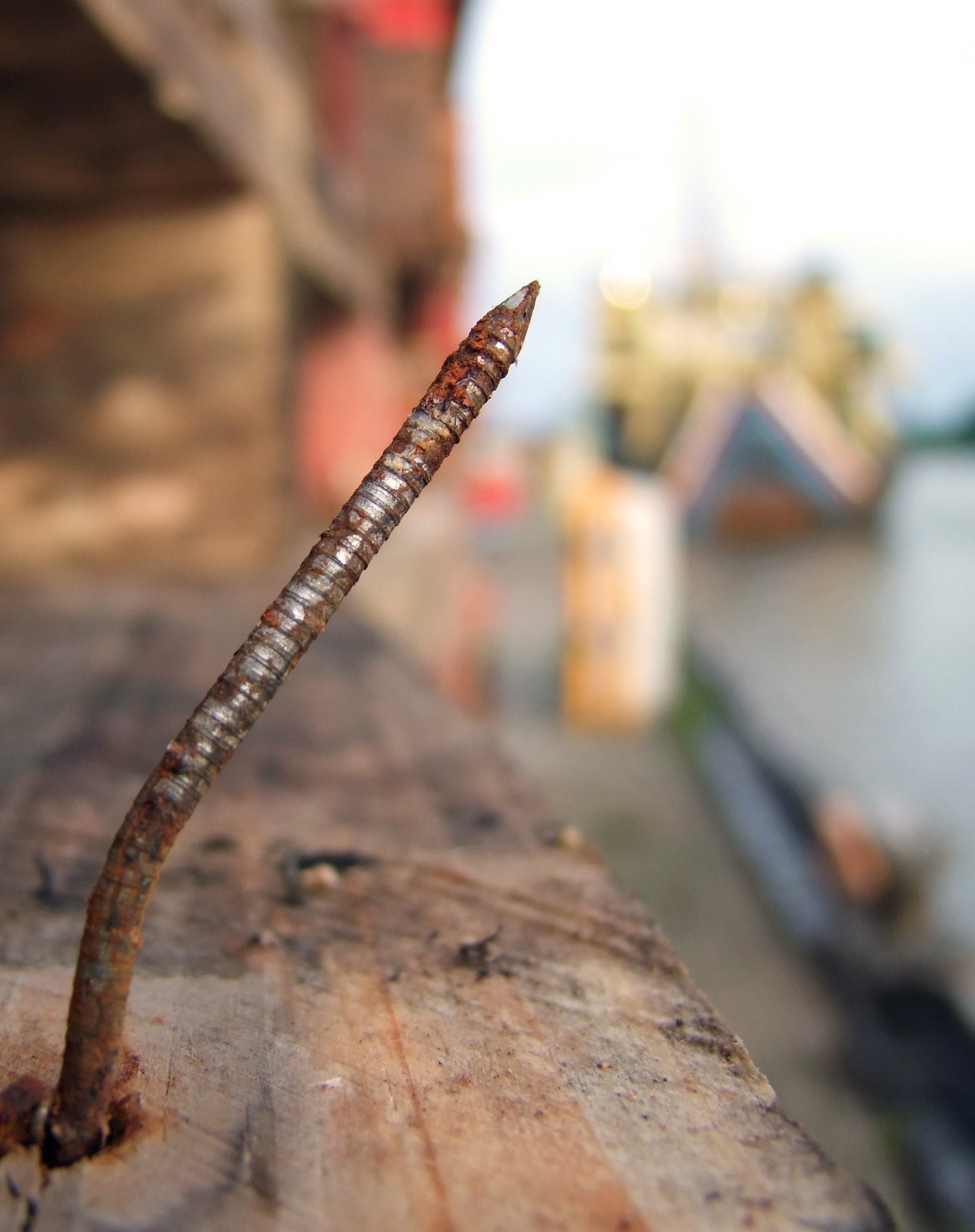 gray rusty screw in macro shot