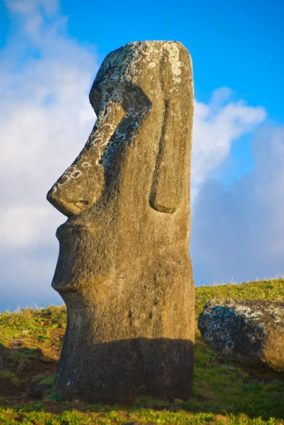 Moai Statue at daytime preview