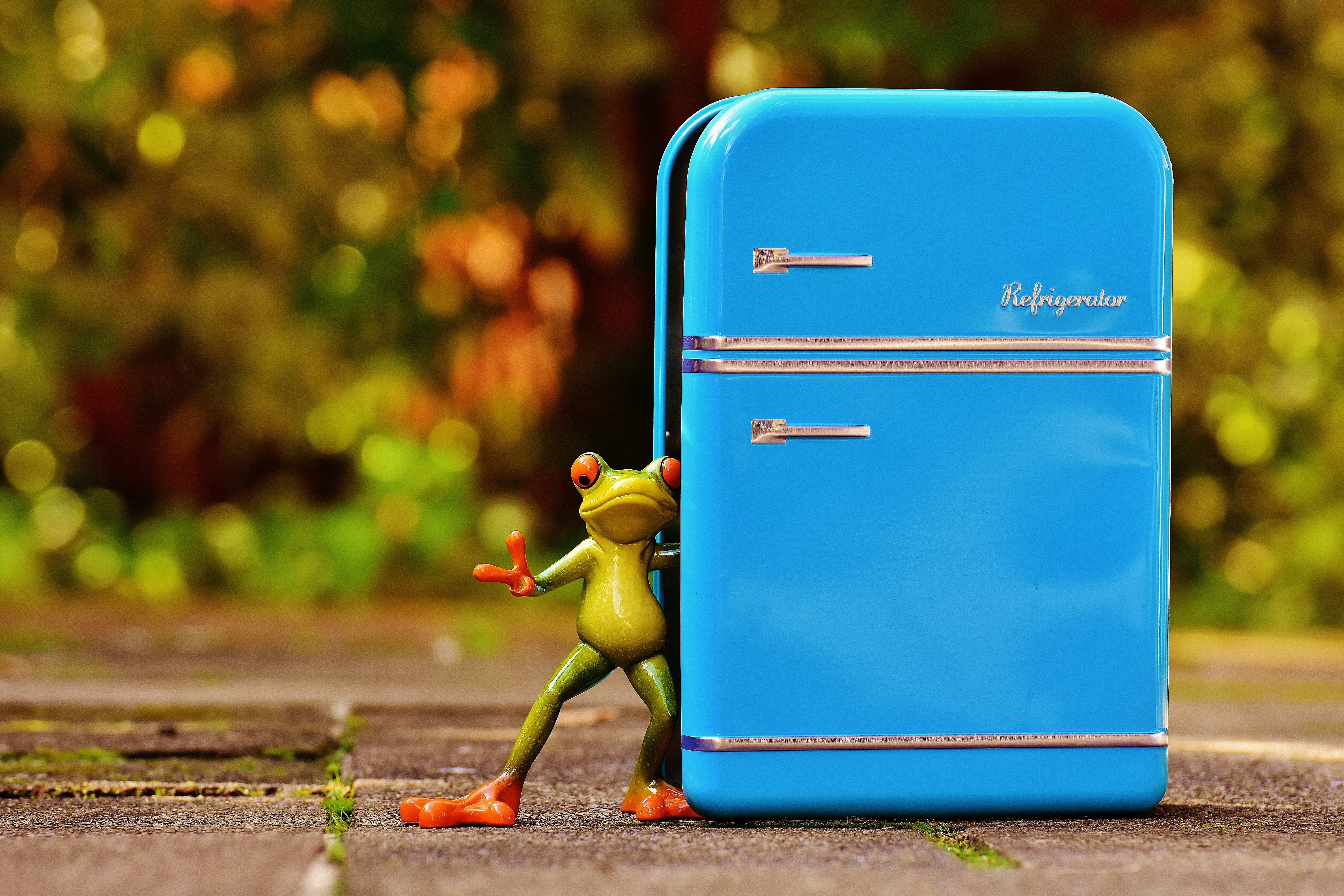 blue baggage