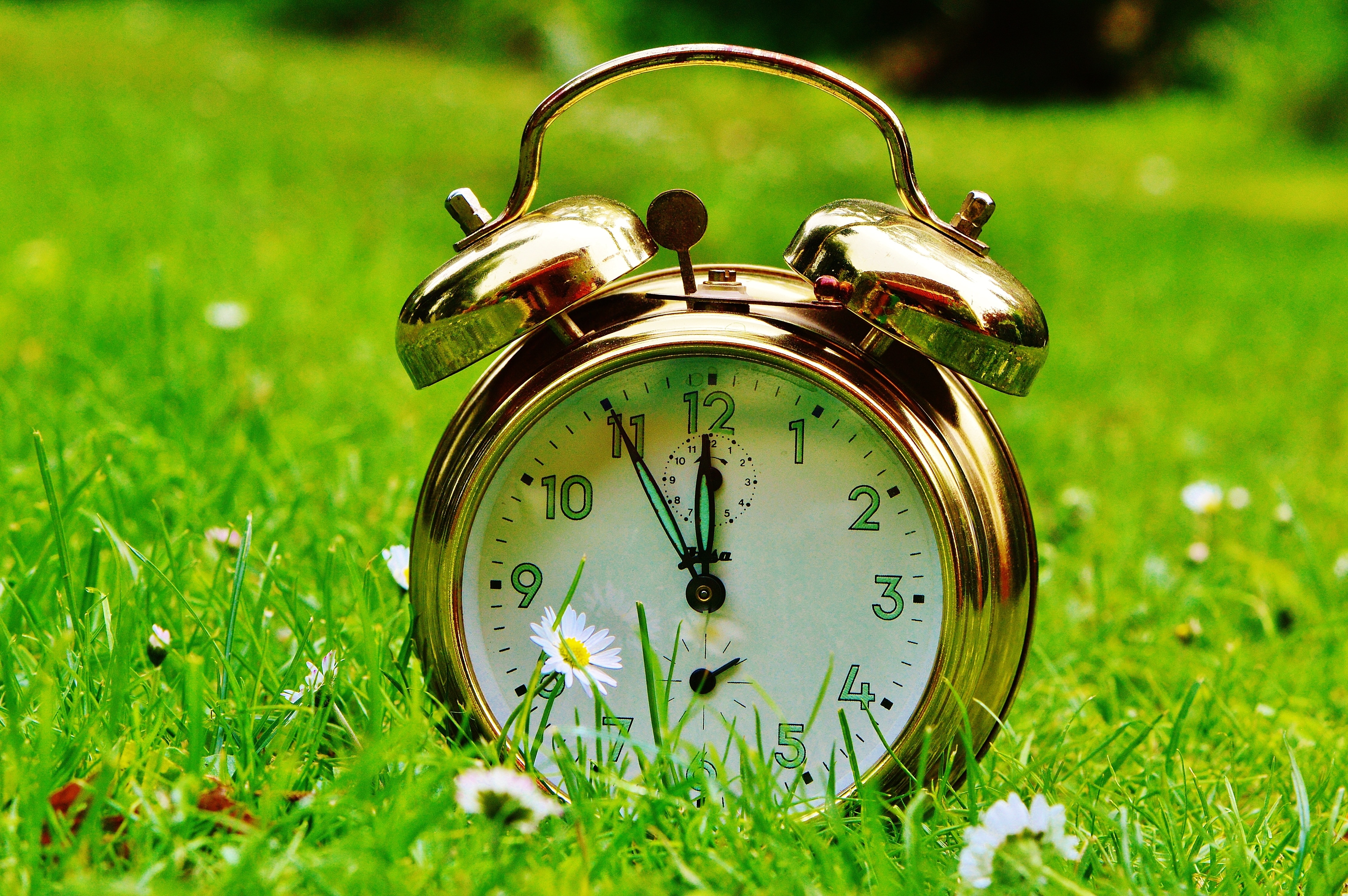 Сделай ярче в час. Часы лето. Экологический будильник. Много будильников. Часы и время.