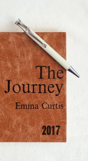 the journey by emma curtis book thumbnail