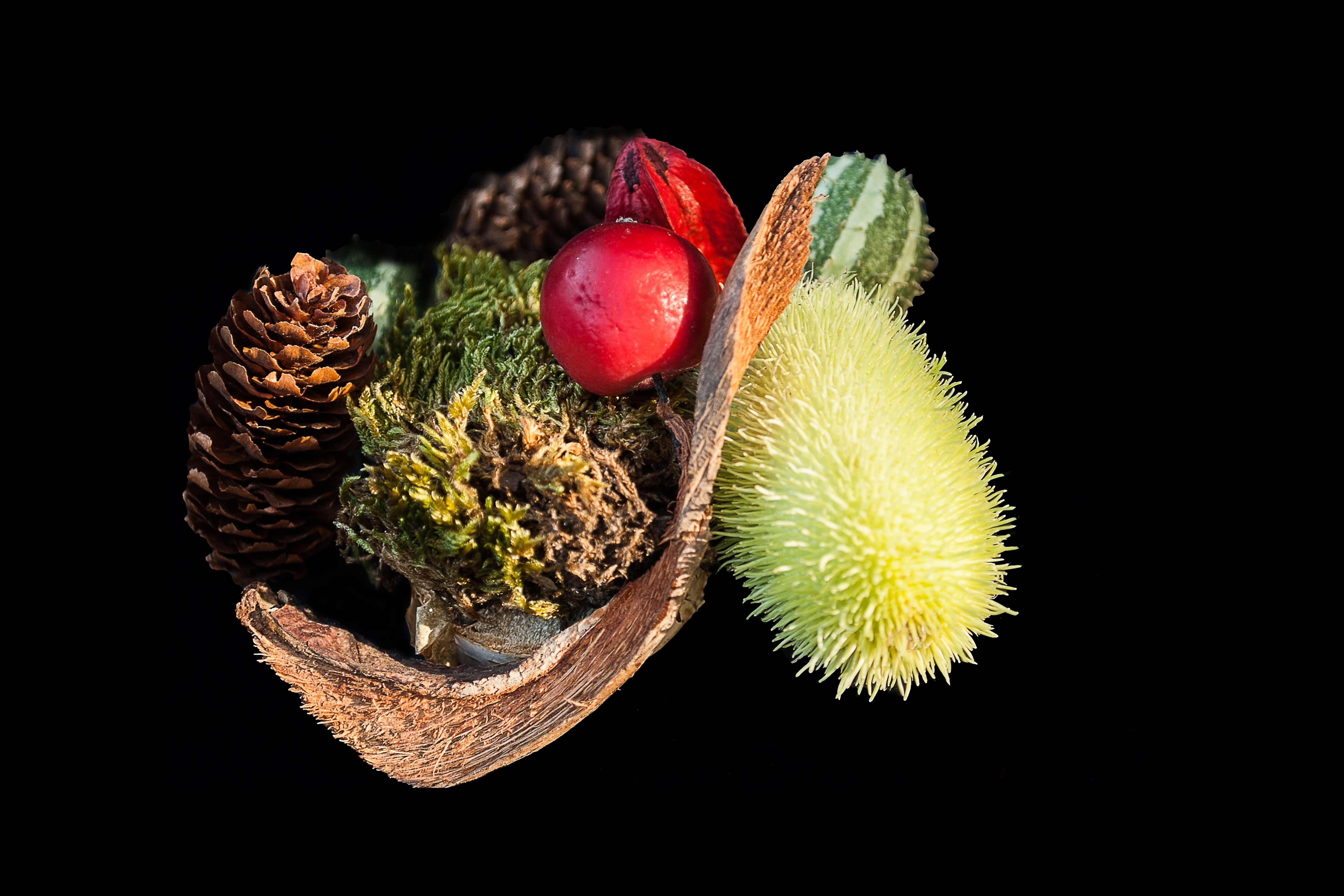 pine cone and red round fruit