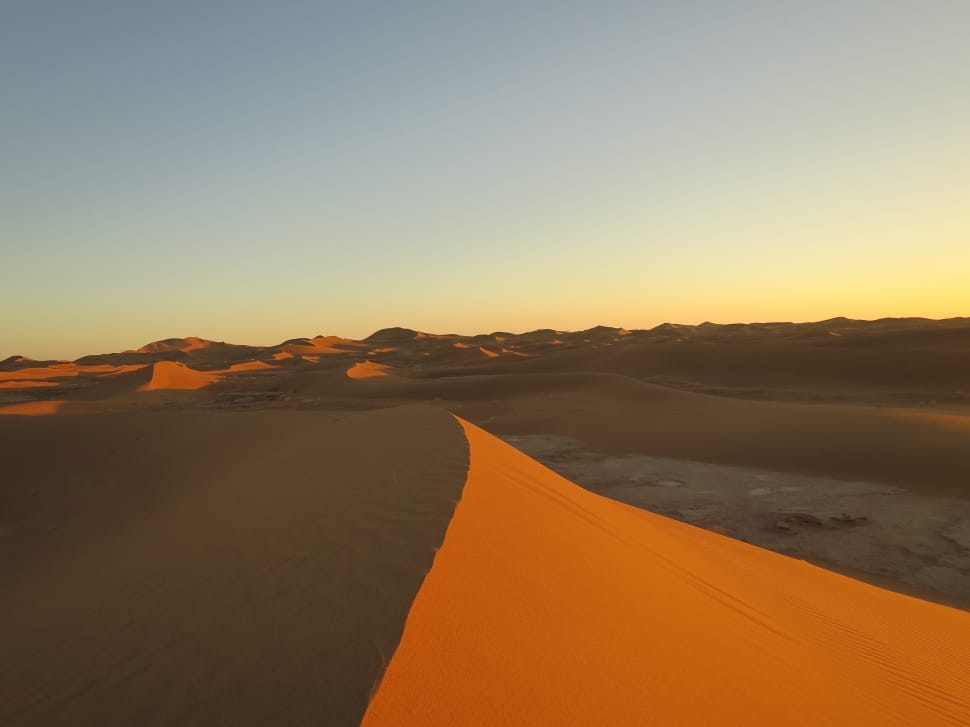 browm desert preview