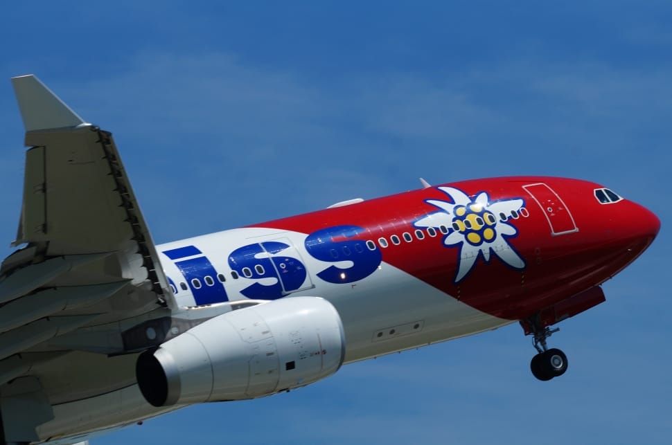 red blue and white airplane preview