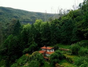 aerial view of house surrounded by trees photo thumbnail