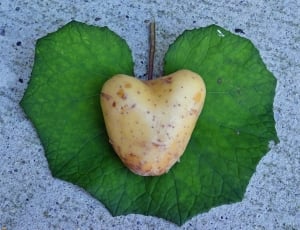 potato vegetable thumbnail