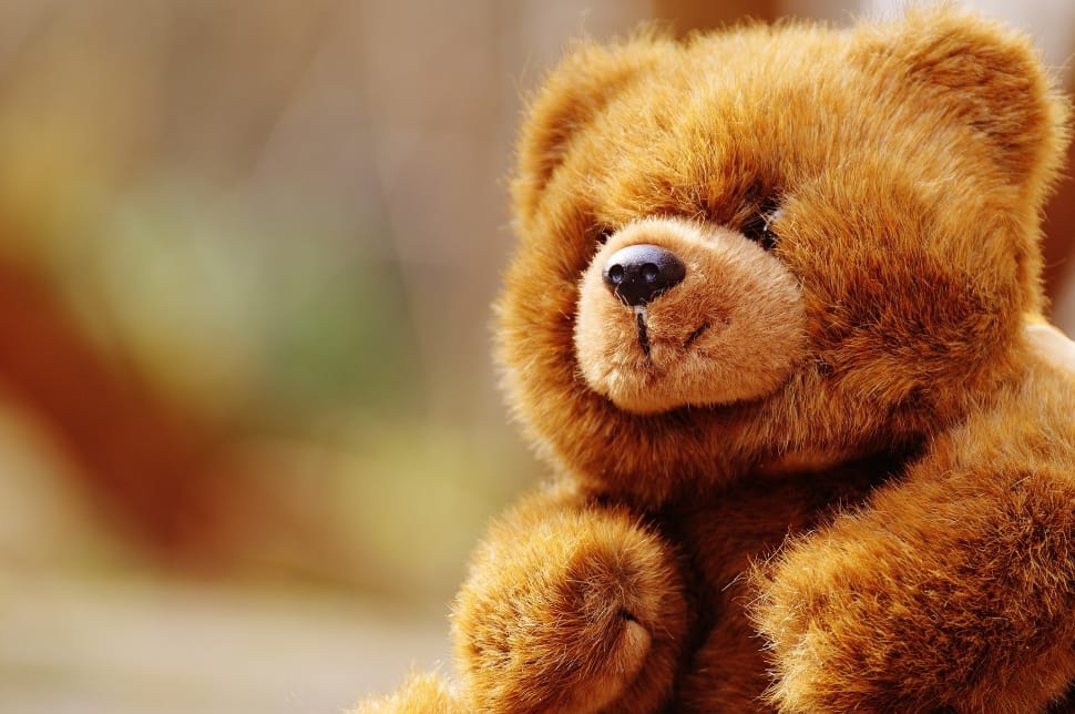 brown bear plush toy preview