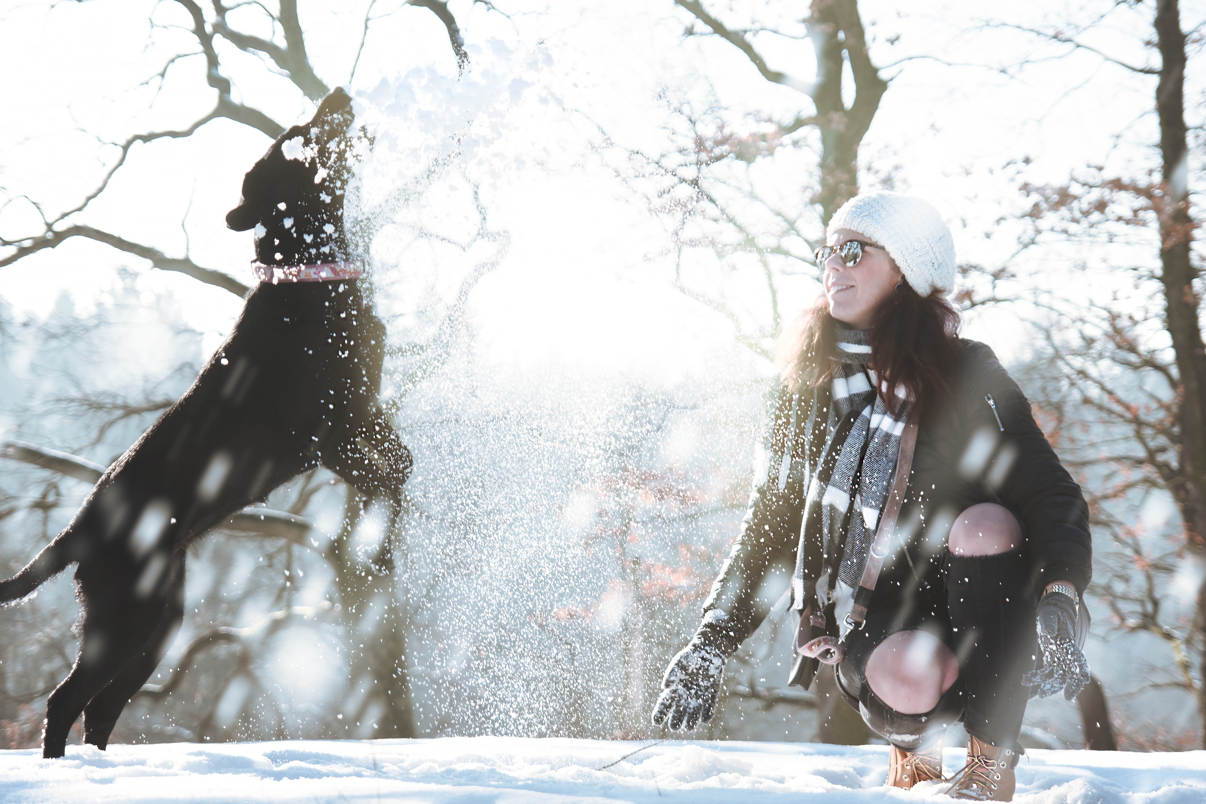 woman and dog playing on snow during daytime