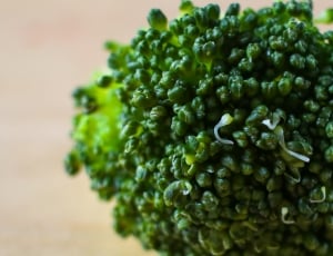 green vegetable thumbnail