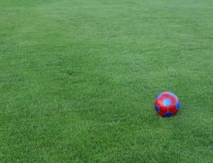 Football, Sports Ground, Ball, grass, green color thumbnail