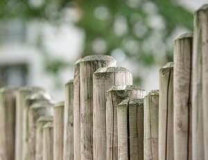 wooden fence thumbnail