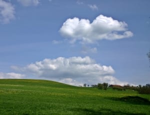 grass covered hill thumbnail