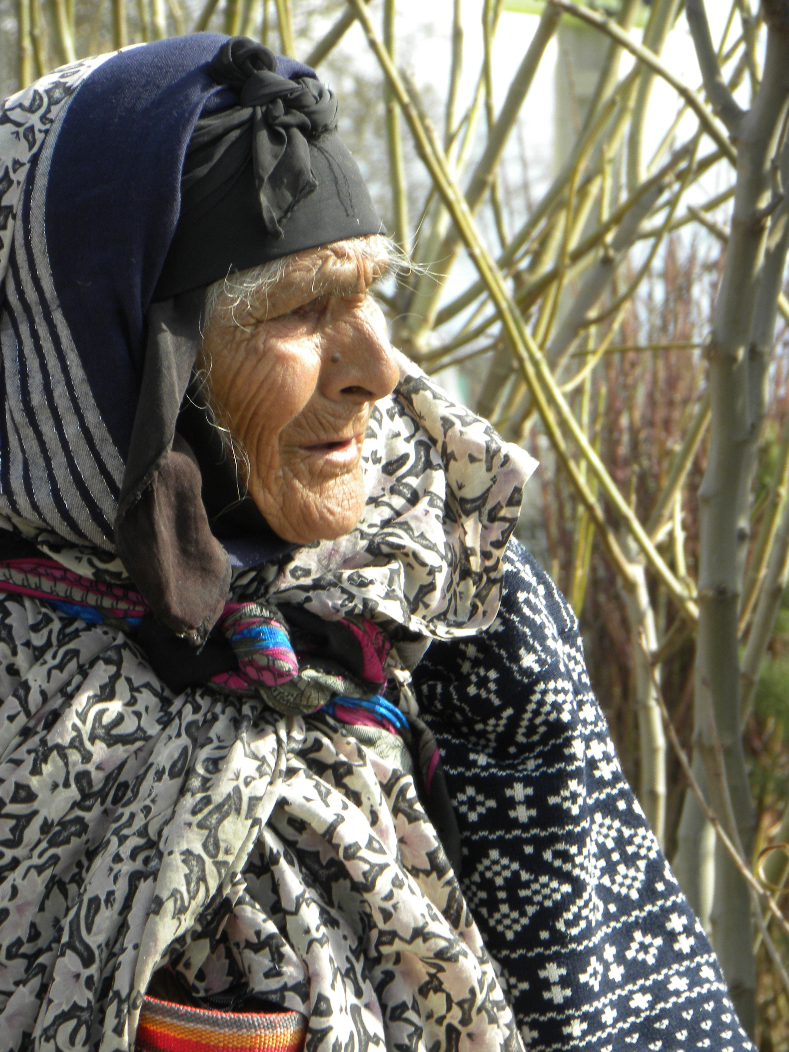 Woman, Old, Older, Close-Up, Iran, senior adult, senior women