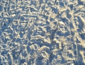 Gulf Coast, Florida, Beach, Sand, backgrounds, pattern thumbnail