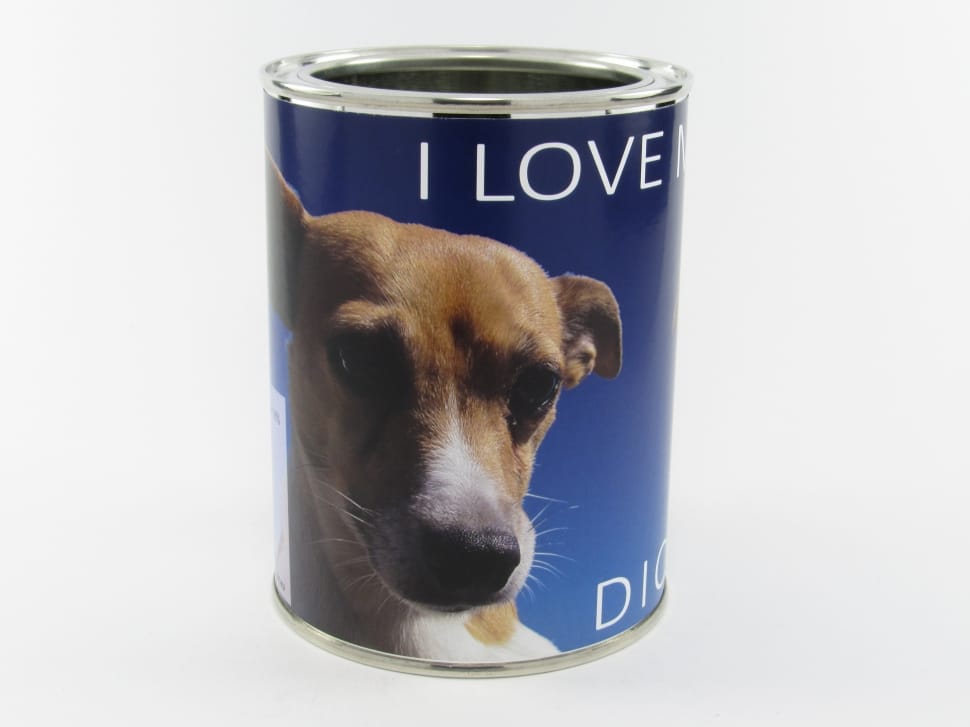 silver i love dog can preview