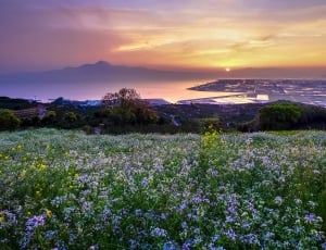 Hill Of The Narcissist, Japan, Kumamoto, nature, sunset thumbnail