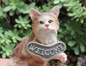 brow cat figurine with welcome signage thumbnail
