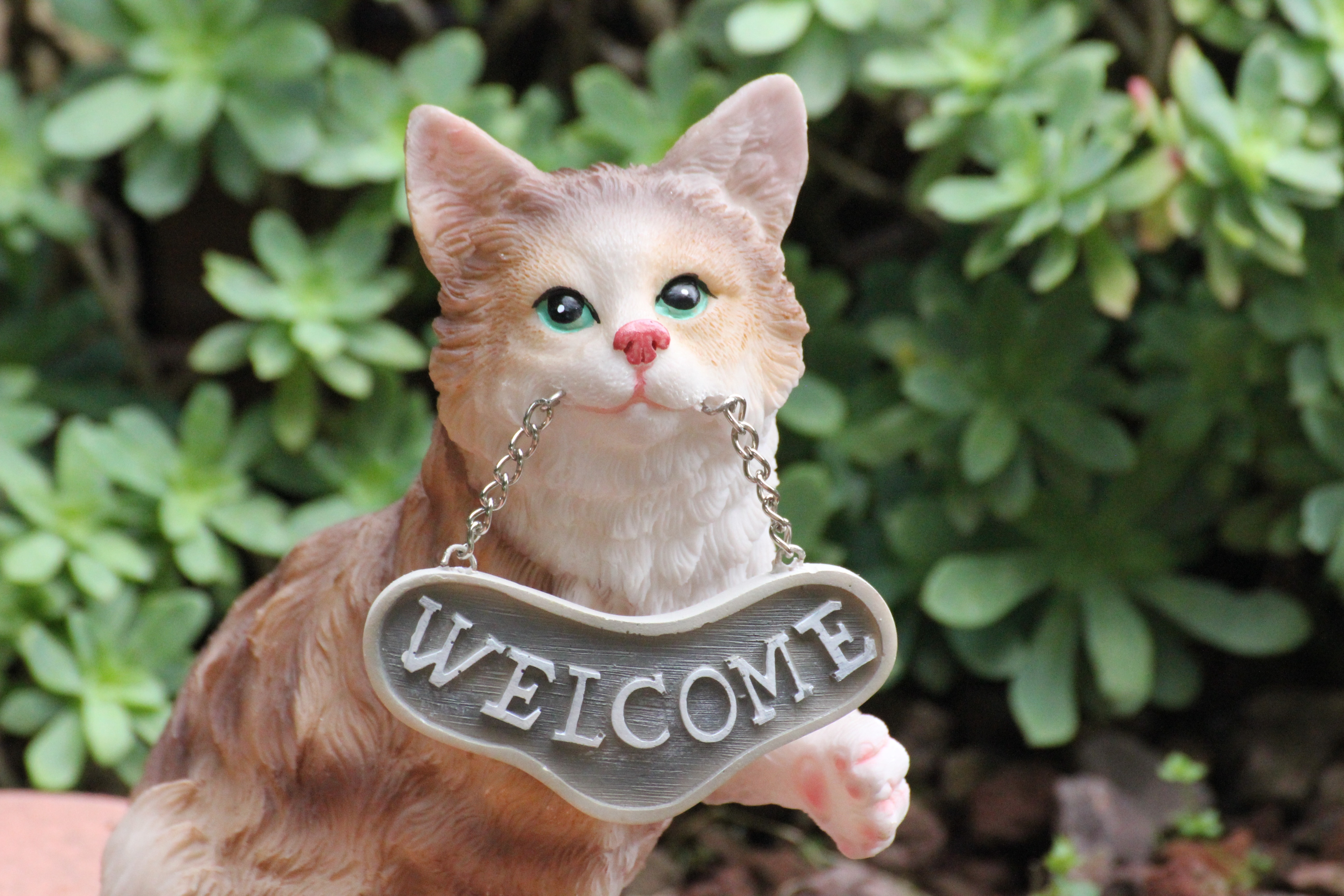 brow cat figurine with welcome signage