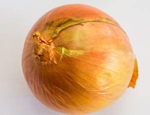 single onion thumbnail