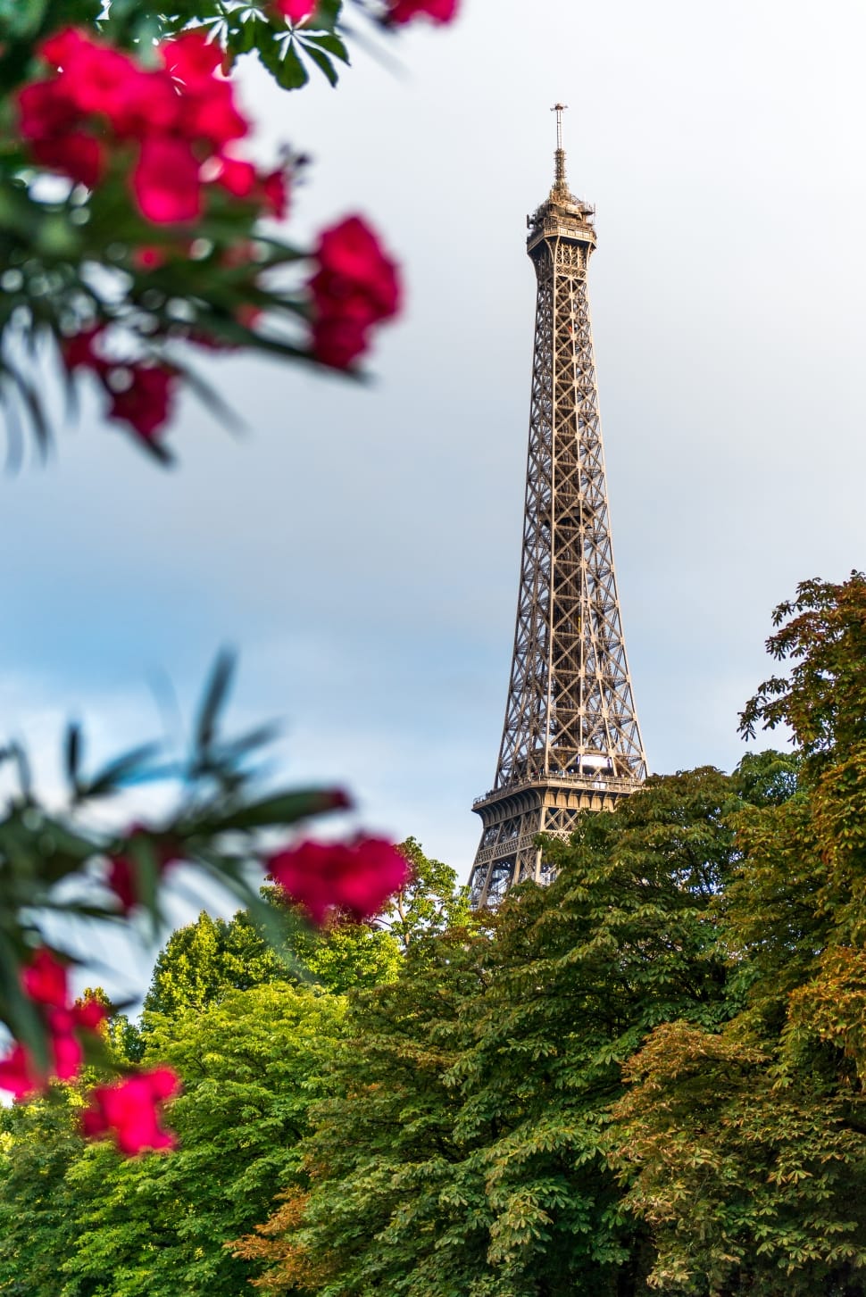 eiffel-tower-near-green-trees-at-daytime-wallpaper-preview.jpg