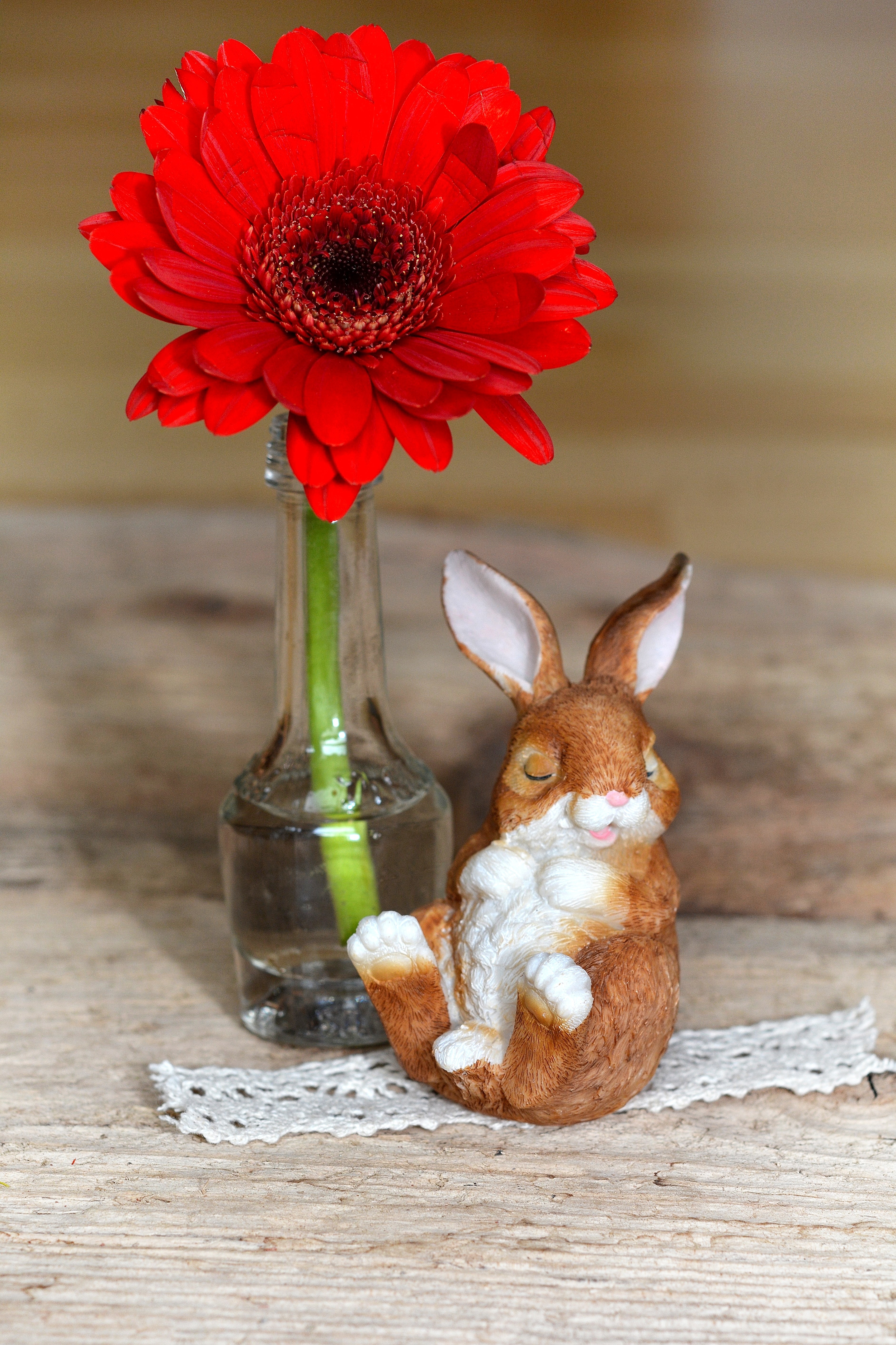 red gerbera daisy and brown bunny figurine