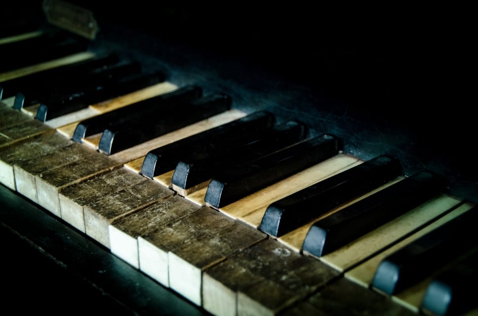 white and black piano keyboard preview