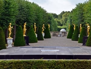 green cone shaped bushes with man gold staTUES thumbnail