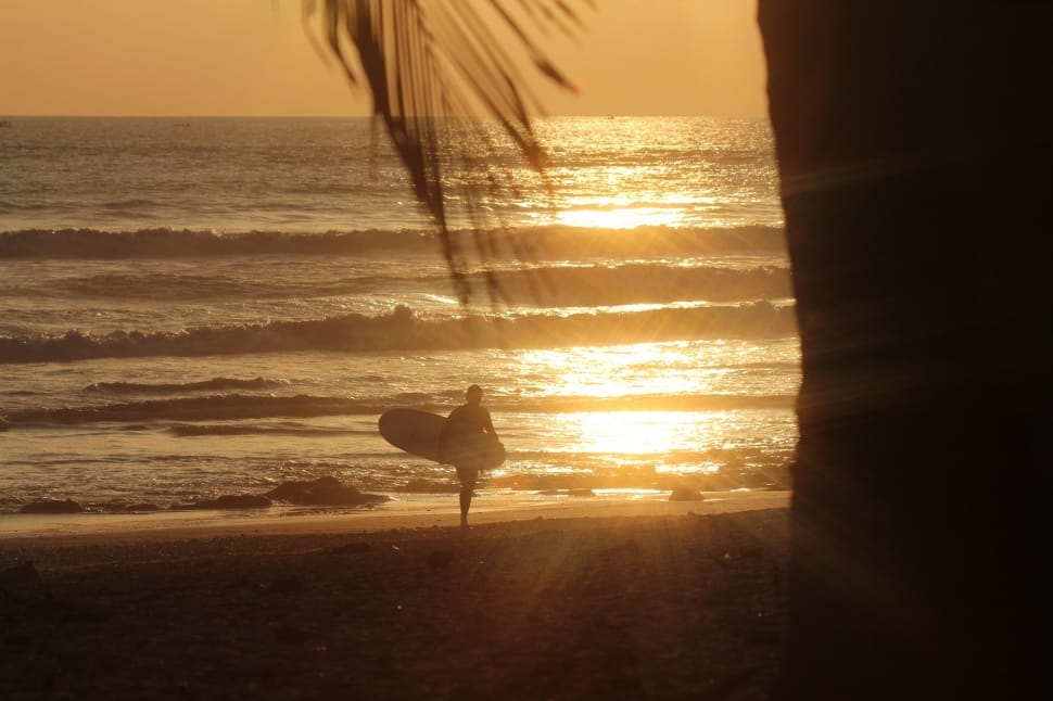 silhouette of person holding surfboard preview