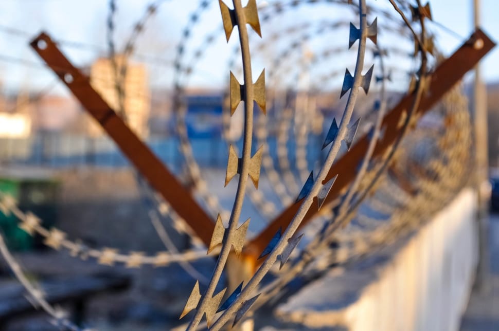 macro shot of   gray steel barbwire during daytime preview