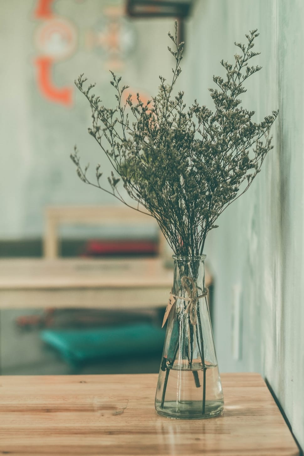 focus photo of baby's breath flower bouquet on a clear glass vase preview