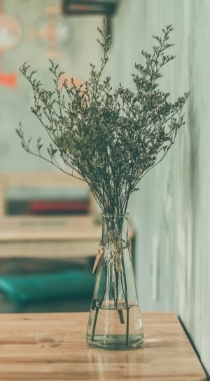 focus photo of baby's breath flower bouquet on a clear glass vase thumbnail