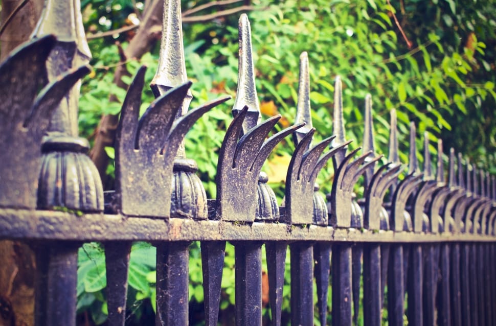 black metal fence near tree preview