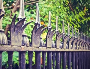 black metal fence near tree thumbnail