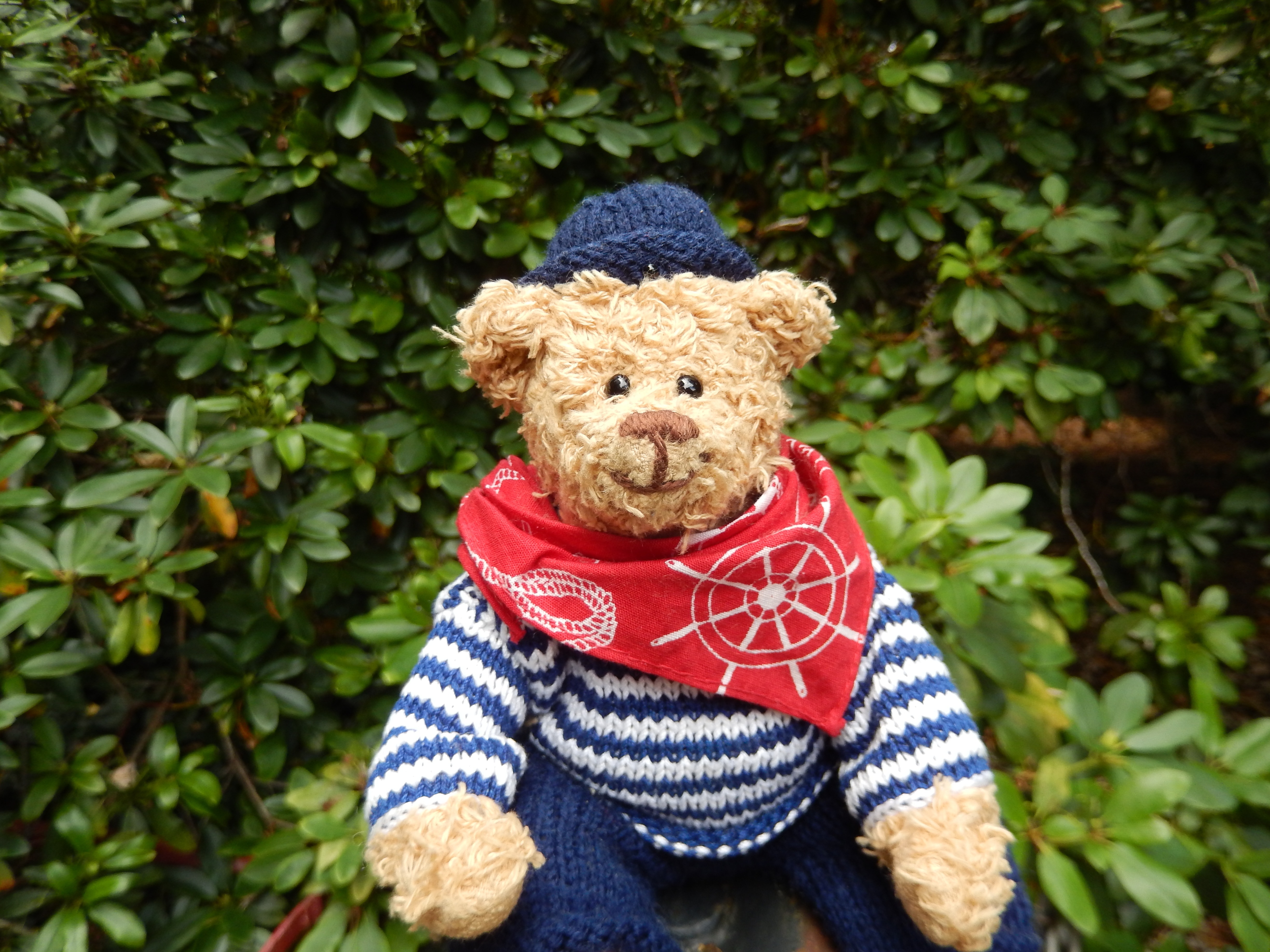 brown bear wearing stripe sweater plush toy