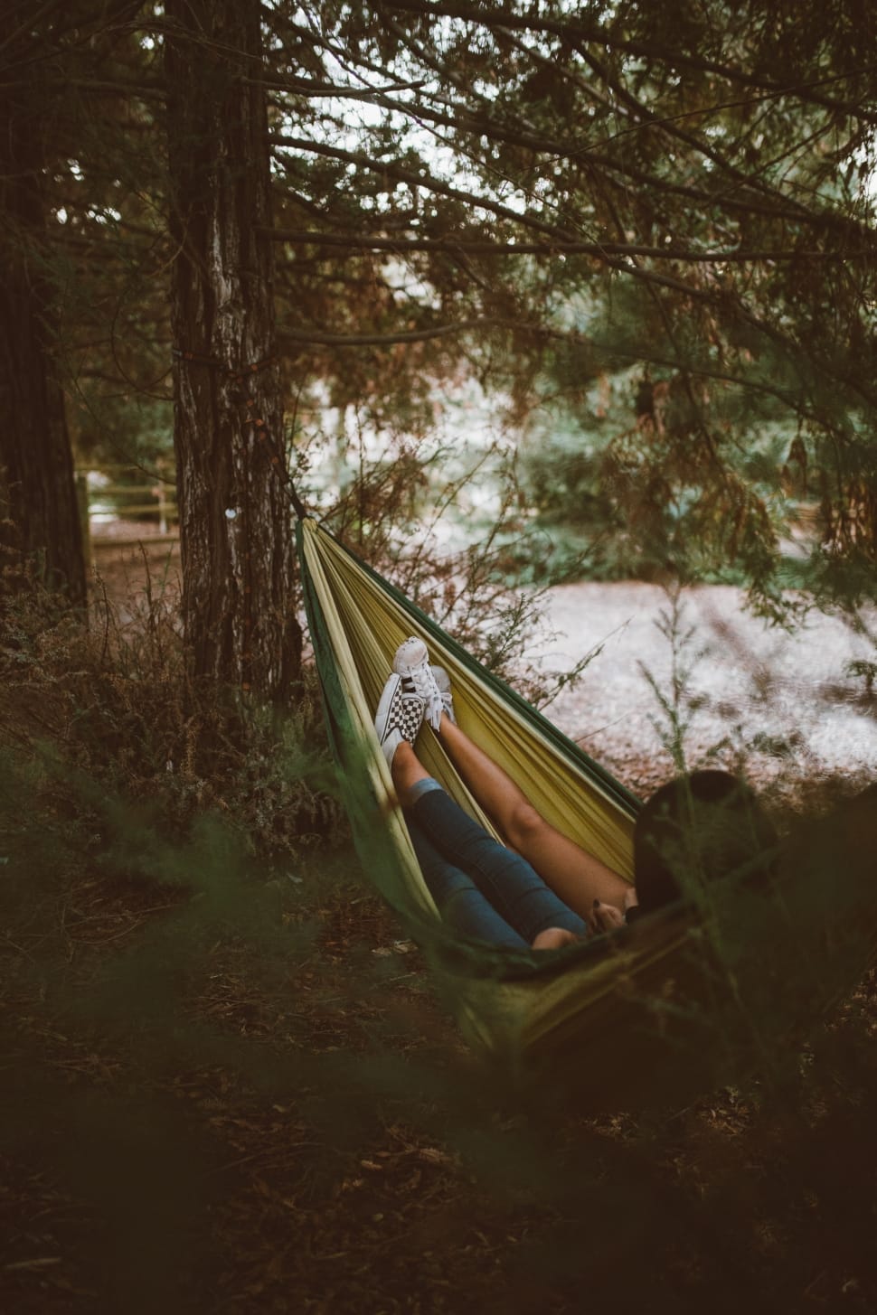 2 people on the hammock surrounded with green trees preview