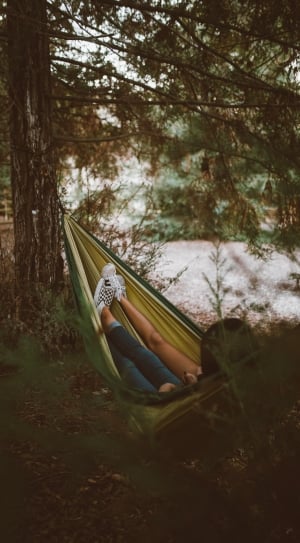 2 people on the hammock surrounded with green trees thumbnail
