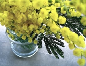 yellow clustered flower in vase thumbnail