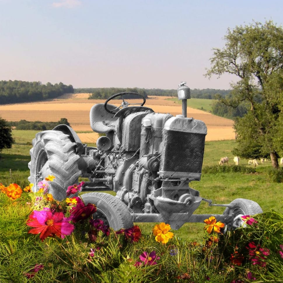 Flowers, Photomontage, Tractor, flower, grass preview