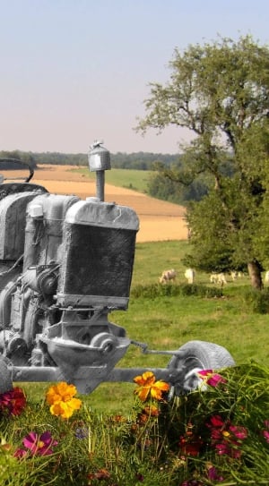 Flowers, Photomontage, Tractor, flower, grass thumbnail