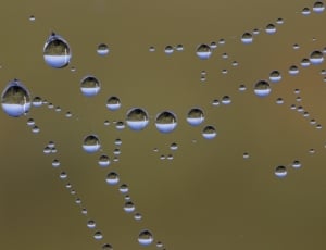 water drops thumbnail