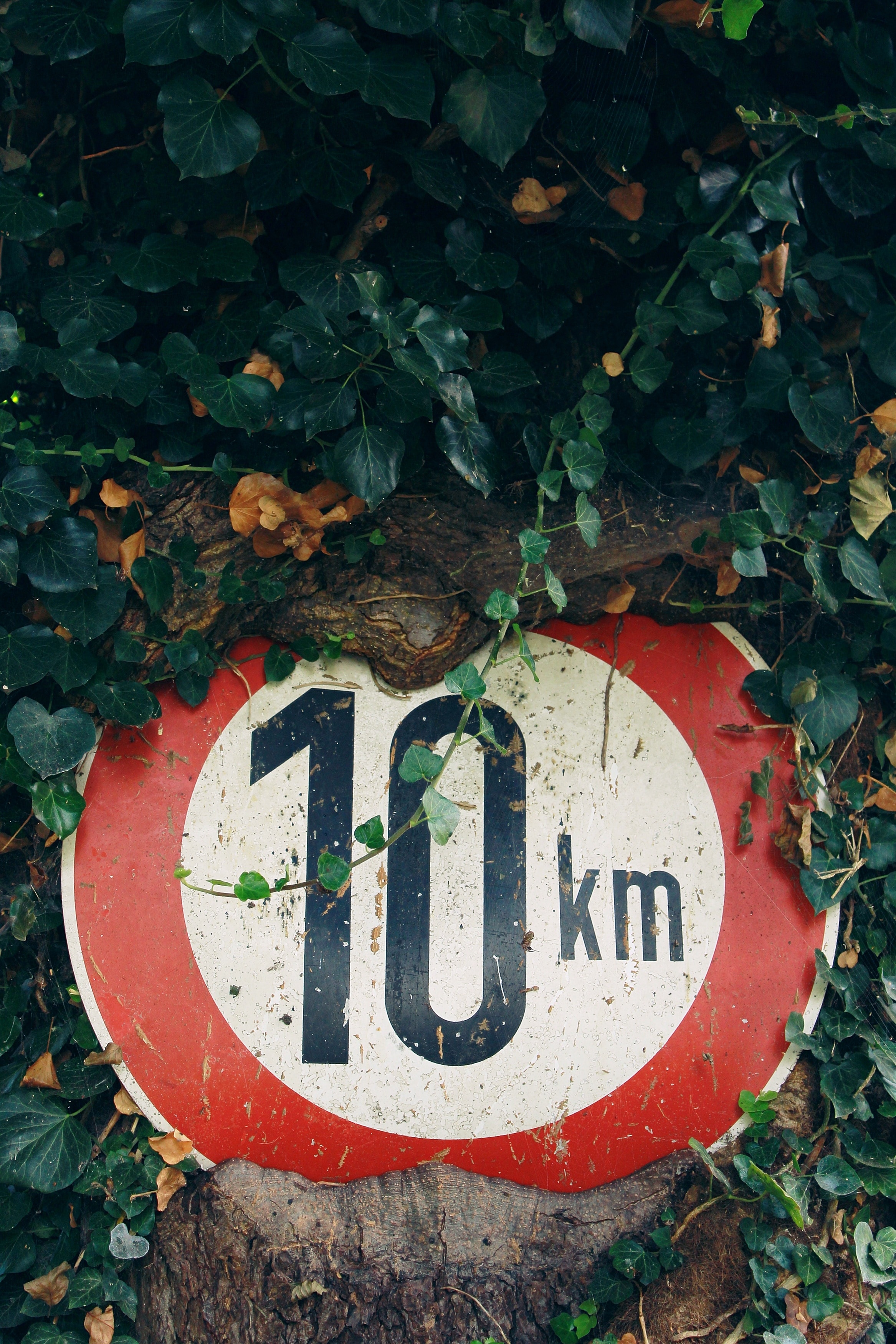 red and white round metal 10 km signage