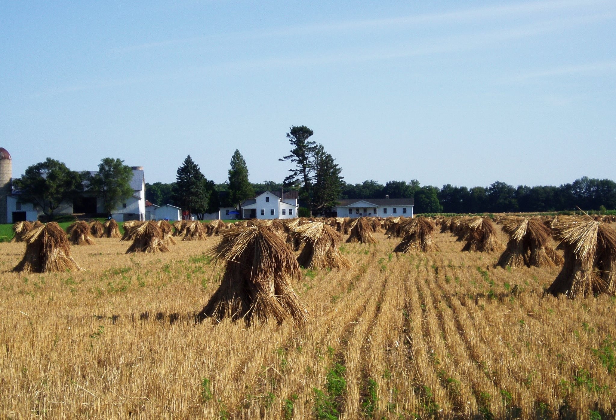 haystack on field under blue sky